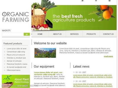 个性网页模板设计 点亮电子商务经营的视觉引擎